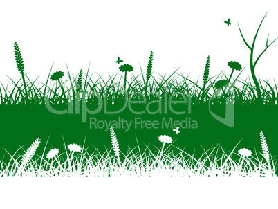 Nature Grass Means Lawn Scenic And Rural