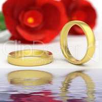 Wedding Rings Represents Reflective Reflect And Wedlock