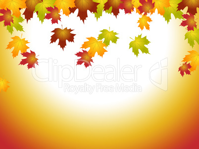 Fall Leaves Means Text Space And Blank