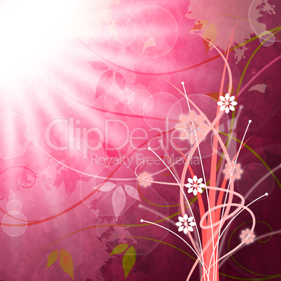 Sun Rays Means Flower Flowers And Pink
