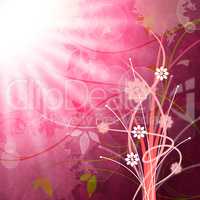 Sun Rays Means Flower Flowers And Pink