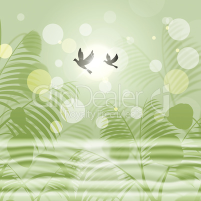 Doves Bokeh Indicates Freedom Environment And Green