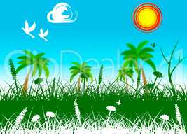 Grass Landscape Indicates Summer Scene And Picturesque