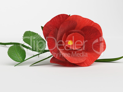 Rose Love Means Petal Romantic And Petals