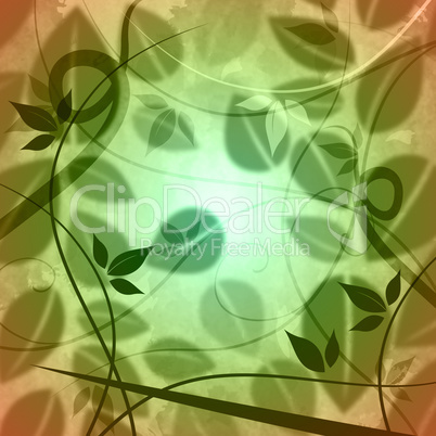 Floral Background Shows Blank Space And Backdrop