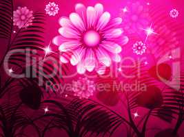 Copyspace Pink Represents Light Burst And Background