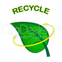 Recycle Leaf Represents Earth Friendly And Conservation