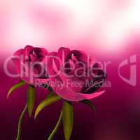 Roses Copyspace Represents Valentine Valentines And Bloom