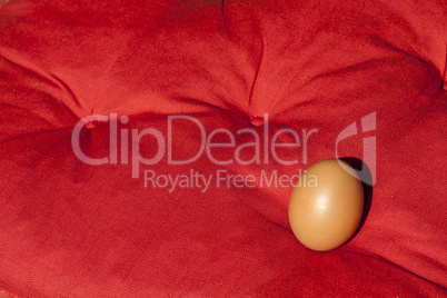 Egg on a red pillow under the sun
