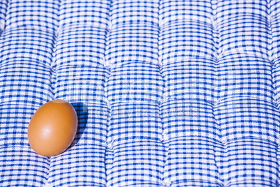 Egg on a blue and white pillow under the sun