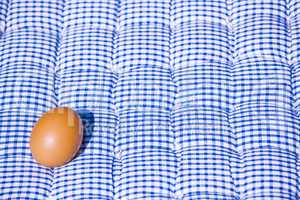 Egg on a blue and white pillow under the sun
