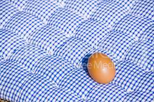 Egg on a blue and white pillow under the sun
