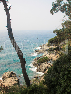 Beautiful views of the coast summer day