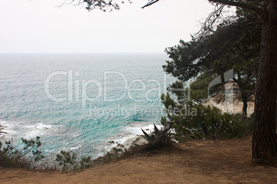 Beautiful views of the coast summer day