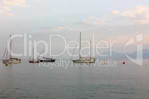 Yachts with deflated sails built on the sea surface