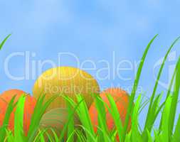 Easter Eggs Means Green Grass And Pasture