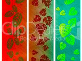 Floral Nature Represents Outdoors Template And Bloom