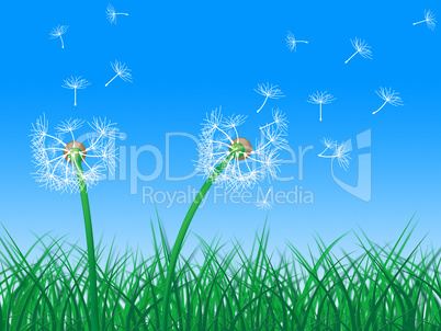 Sky Grass Represents Dandelion Hair And Dandelions