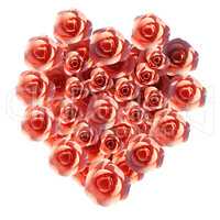 Heart Roses Means Valentine Day And Flora