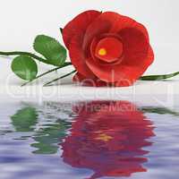Rose Love Represents Romance Flower And Bloom