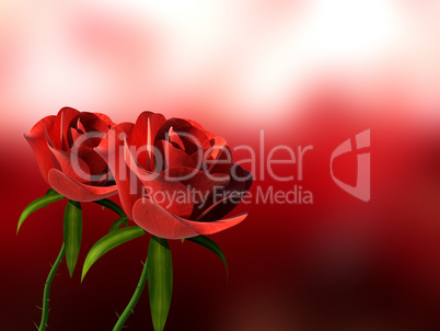 Roses Copyspace Means Petals Romantic And Romance