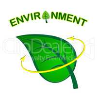 Environment Leaf Shows Earth Friendly And Conservation