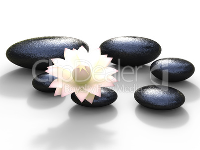 Spa Stones Represents Bloom Peaceful And Spirituality