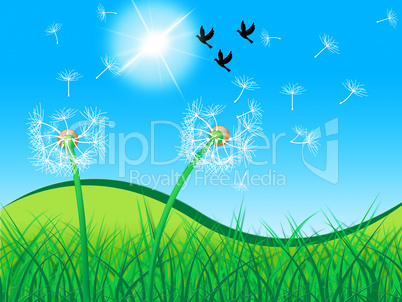 Grass Birds Shows Dandelion Seeds And Countryside