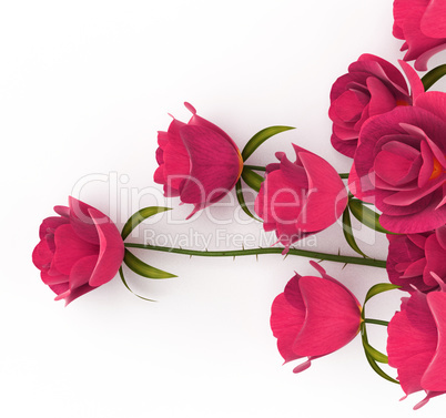 Love Roses Represents Passion Romance And Dating