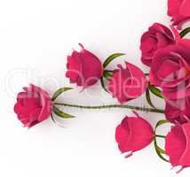 Love Roses Represents Passion Romance And Dating