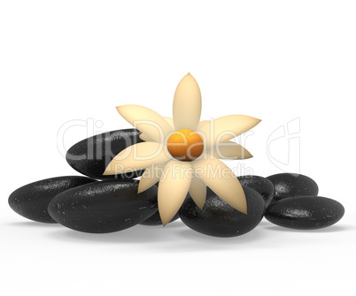 Spa Stones Indicates Tranquility Flowers And Flora