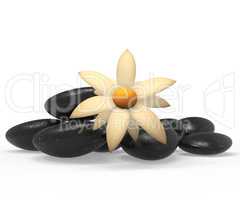 Spa Stones Indicates Tranquility Flowers And Flora
