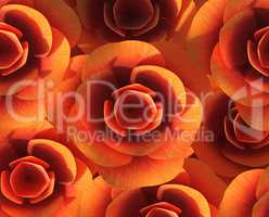 Background Roses Means Design Romantic And Valentine