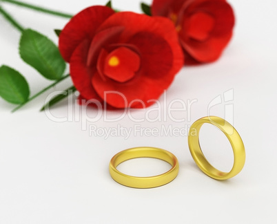 Wedding Rings Means Find Love And Adoration