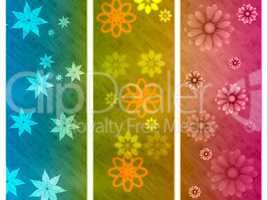 Color Background Indicates Abstract Environmental And Bouquet