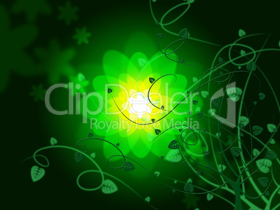 Background Glow Represents Light Burst And Flowers