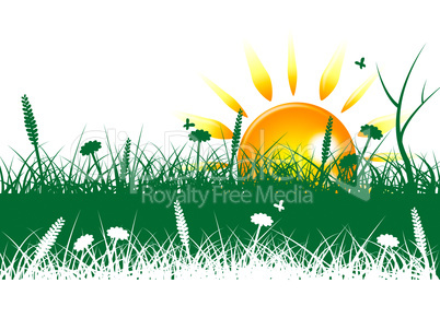 Grass Sun Represents Grassy Summer And Outdoor