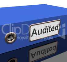 Audited File Shows Business Scrutiny And Inspect