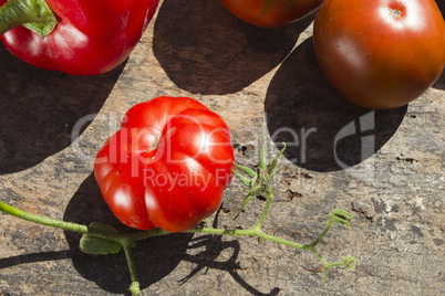 Red ripe tomatoes