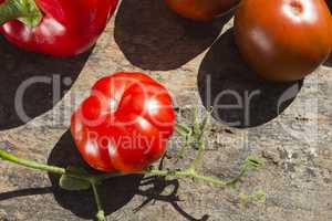 Red ripe tomatoes