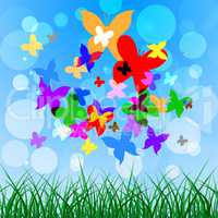Background Butterflies Represents Summer Time And Creature