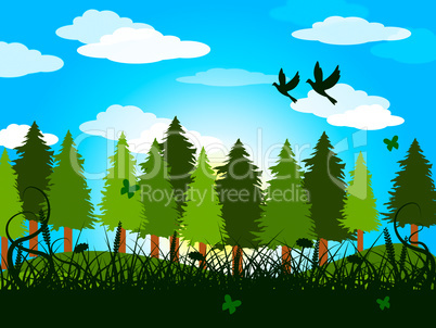 Spring Trees Represents Treetops Forestation And Countryside