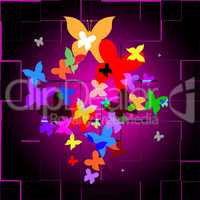 Summer Butterflies Indicates Animals Butterfly And Creature