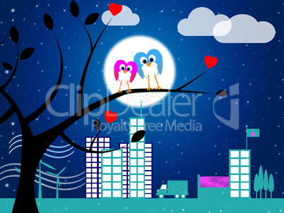 Love Night Indicates Flock Of Birds And Affection
