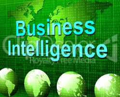 Business Intelligence Means Know How And Biz