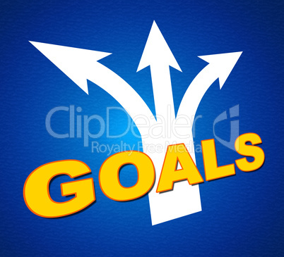 Goals Arrows Shows Targeting Direction And Aspirations