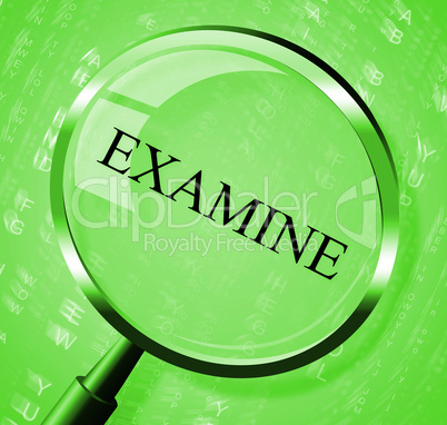 Examine Magnifier Means Investigate Magnify And Studying