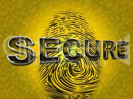 Secure Access Indicates Password Fingerprint And Protected