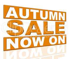 Autumn Sale Represents At The Moment And Cheap