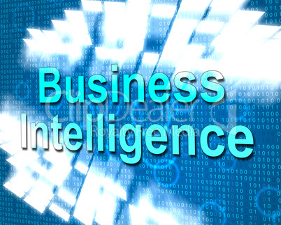 Business Intelligence Shows Know How And Biz